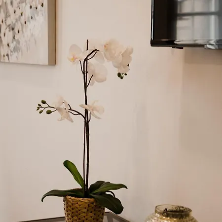 Bruval Premium - Se Apartament Porto