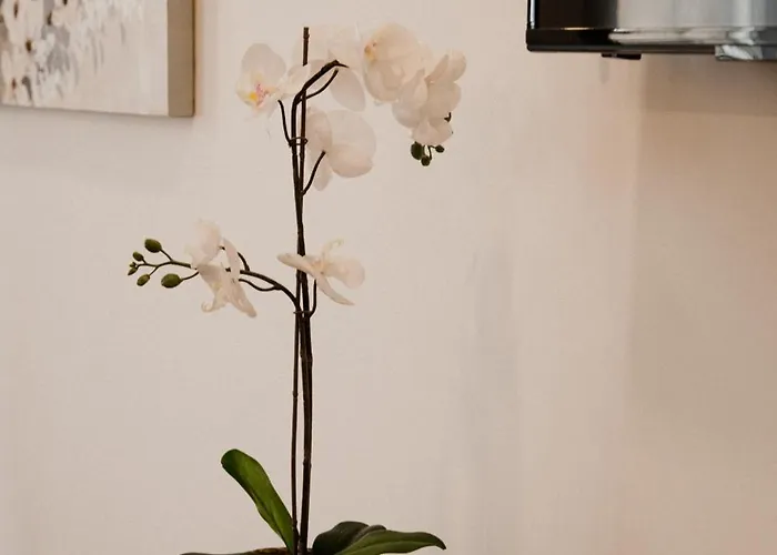 Bruval Premium - Se Apartmán Porto